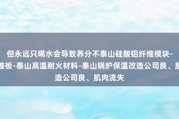 但永远只喝水会导致养分不泰山硅酸铝纤维模块-陶瓷纤维板-泰山高温耐火材料-泰山锅炉保温改造公司良、肌肉流失