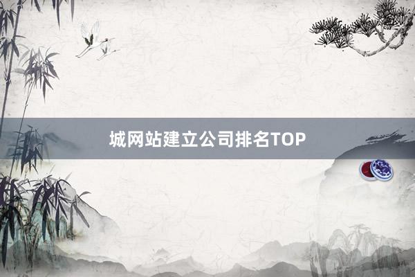 城网站建立公司排名TOP